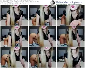 showup-mini_mouse-webcam-show-09_05_2017-17_37_24