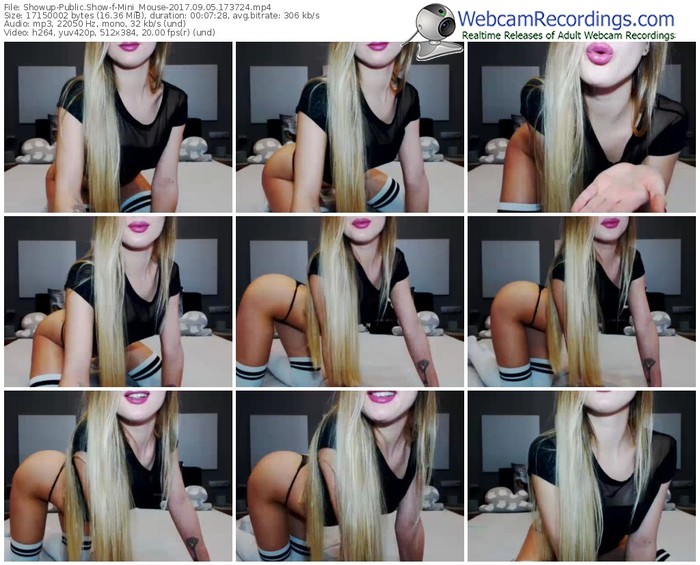 showup-mini_mouse-webcam-show-09_05_2017-17_37_24