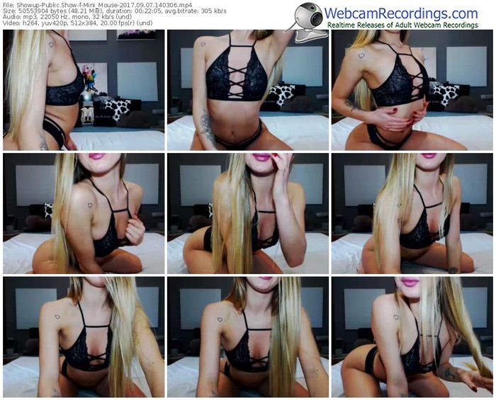 showup-mini_mouse-webcam-show-09_07_2017-14_03_06