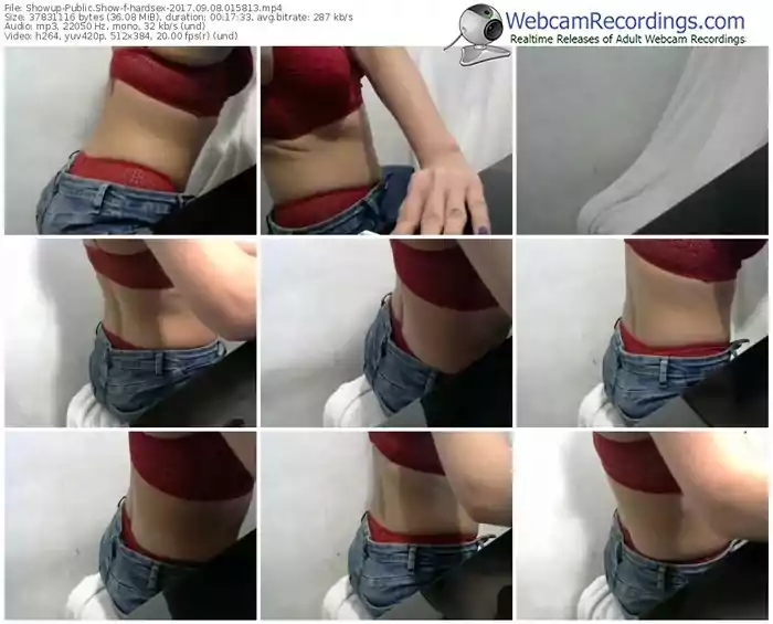 showup-hardsex-webcam-show-09_08_2017-01_58_13