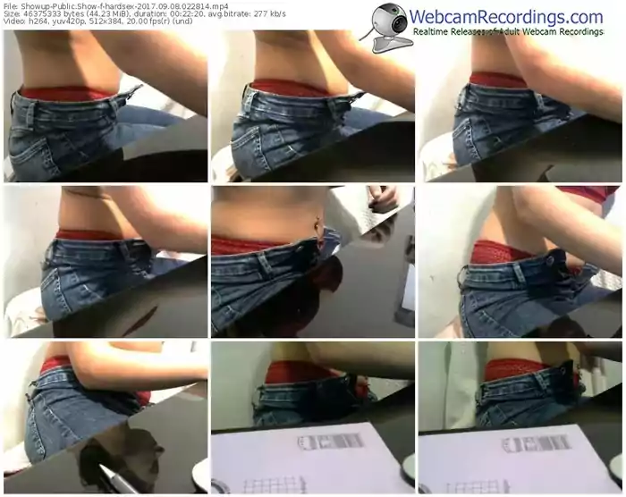 showup-hardsex-webcam-show-09_08_2017-02_28_14