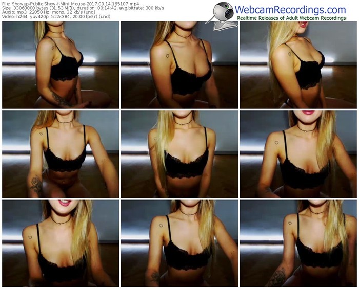 showup-mini_mouse-webcam-show-09_14_2017-16_51_07