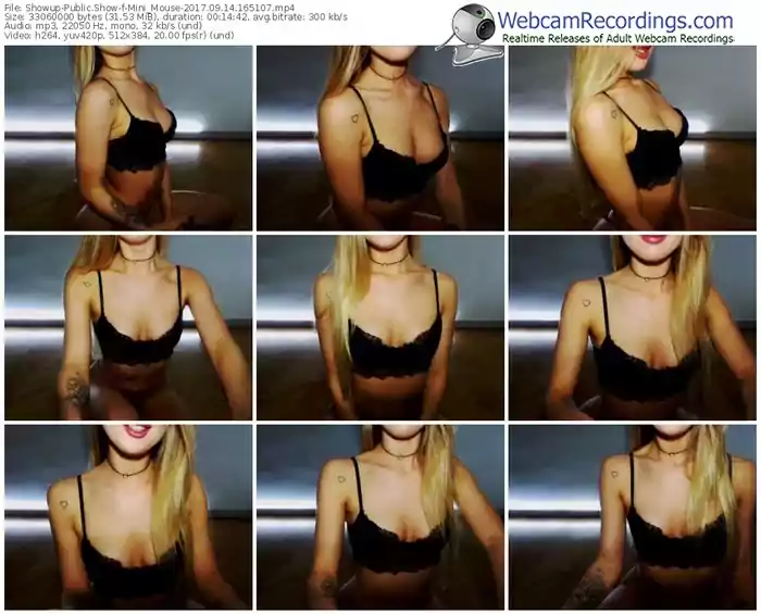 showup-mini_mouse-webcam-show-09_14_2017-16_51_07