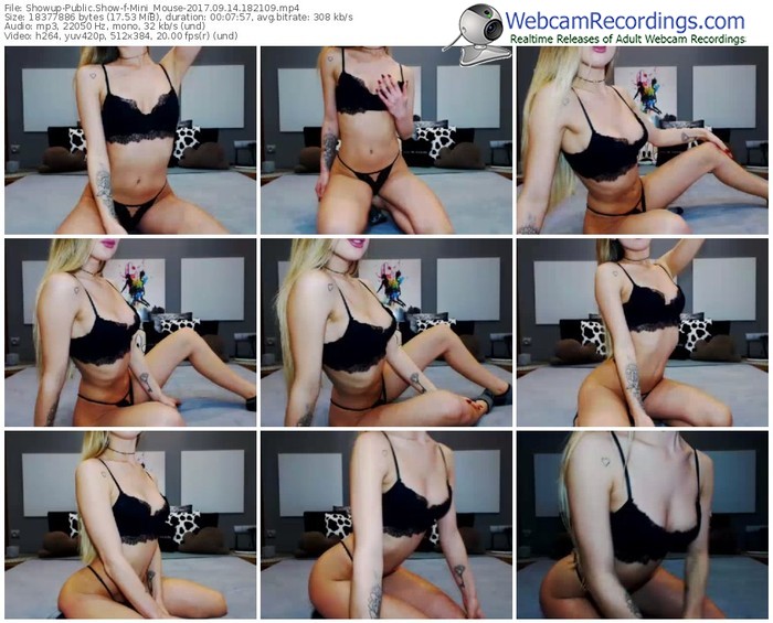 showup-mini_mouse-webcam-show-09_14_2017-18_21_09