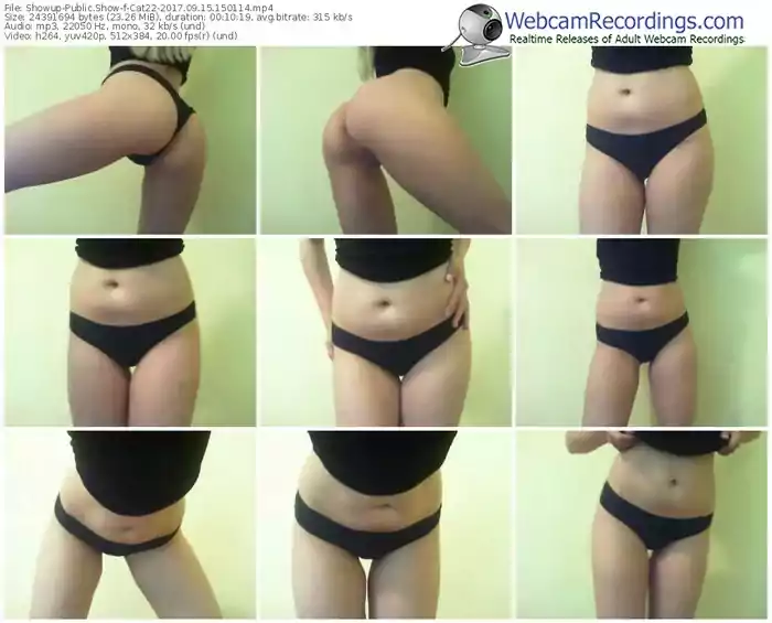 showup-cat22-webcam-show-09_15_2017-15_01_14