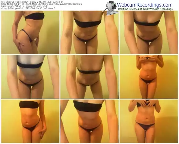 showup-cat22-webcam-show-09_16_2017-17_52_39