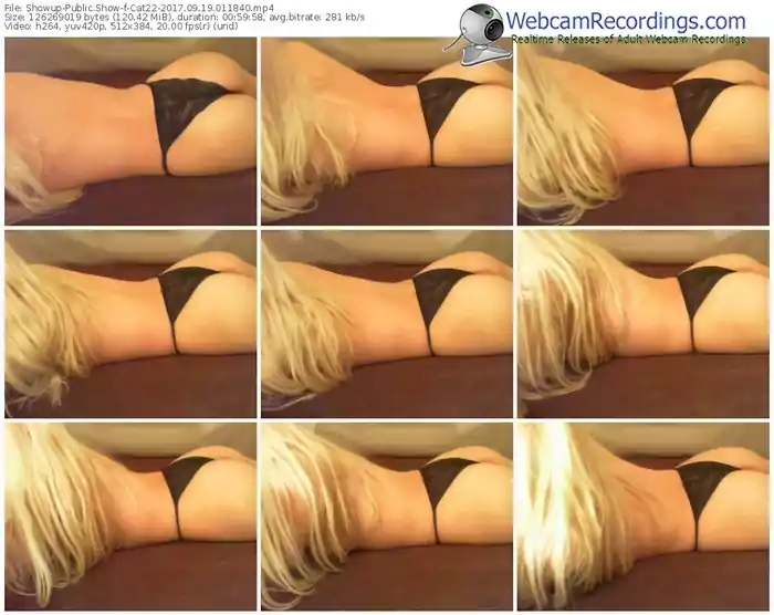 showup-cat22-webcam-show-09_19_2017-01_18_40