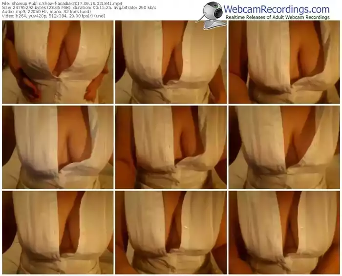 showup-acadia-webcam-show-09_19_2017-02_18_41