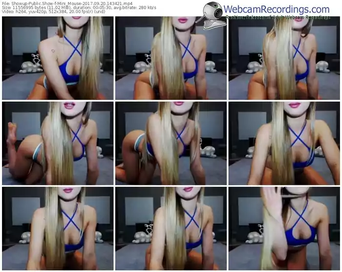 showup-mini_mouse-webcam-show-09_20_2017-14_34_21