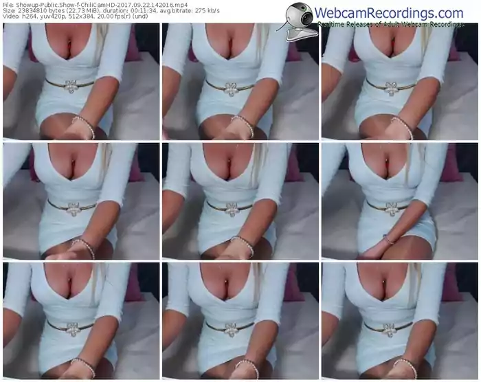 showup-chilicamhd-webcam-show-09_22_2017-14_20_16