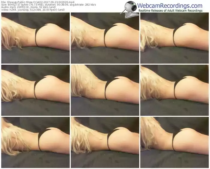 showup-cat22-webcam-show-09_23_2017-00_20_26