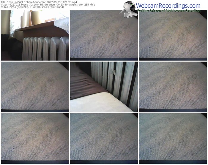 showup-supercat-webcam-show-09_25_2017-10_21_32