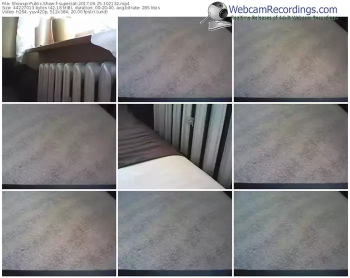 showup-supercat-webcam-show-09_25_2017-10_21_32