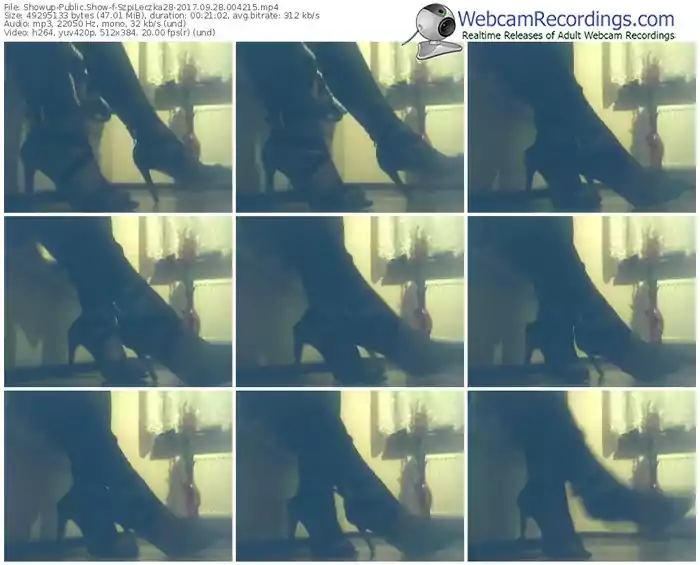 showup-szpileczka28-webcam-show-09_28_2017-00_42_15