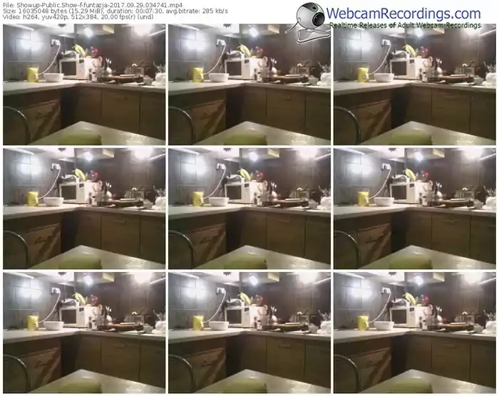 showup-funtazja-webcam-show-09_29_2017-03_47_41