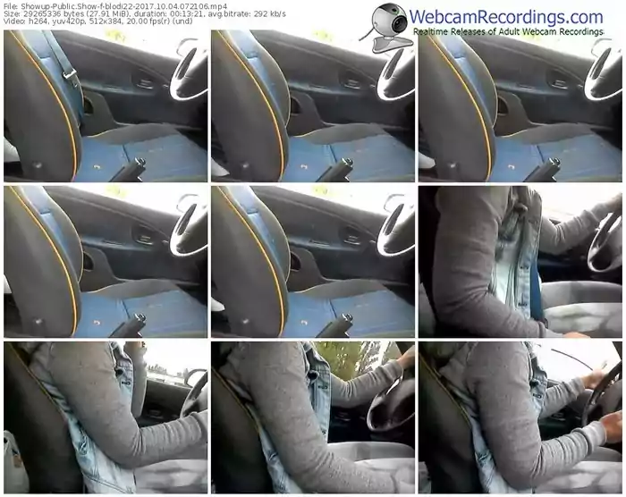 showup-blodi22-webcam-show-10_04_2017-07_21_06