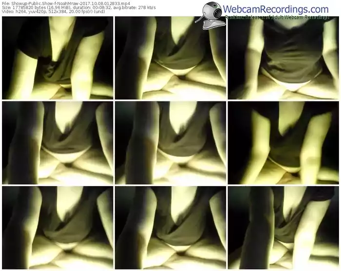 showup-noahmraw-webcam-show-10_08_2017-01_28_33