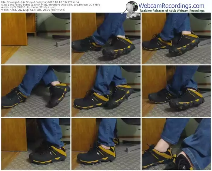 showup-pussycat-webcam-show-10_10_2017-03_49_28