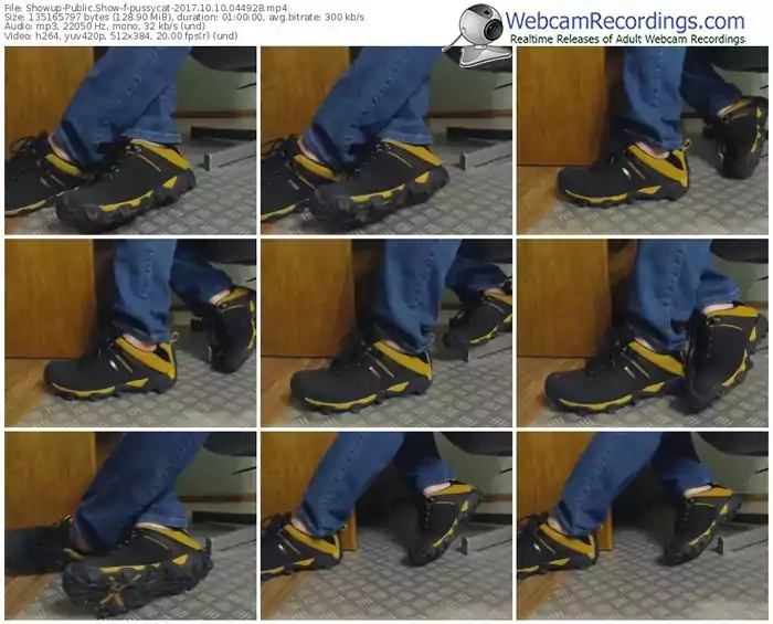 showup-pussycat-webcam-show-10_10_2017-04_49_28