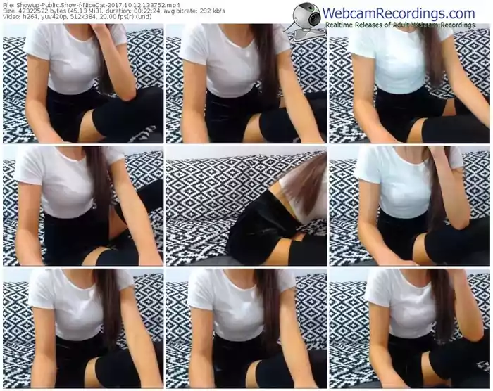 showup-nicecat-webcam-show-10_12_2017-13_37_52