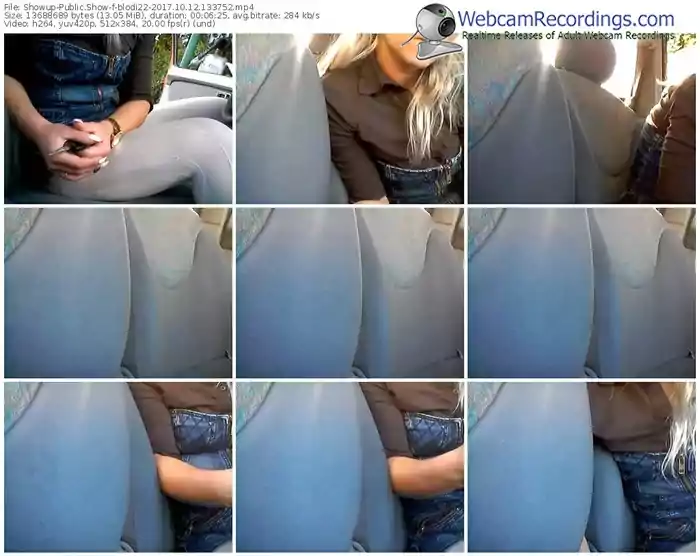 showup-blodi22-webcam-show-10_12_2017-13_37_52