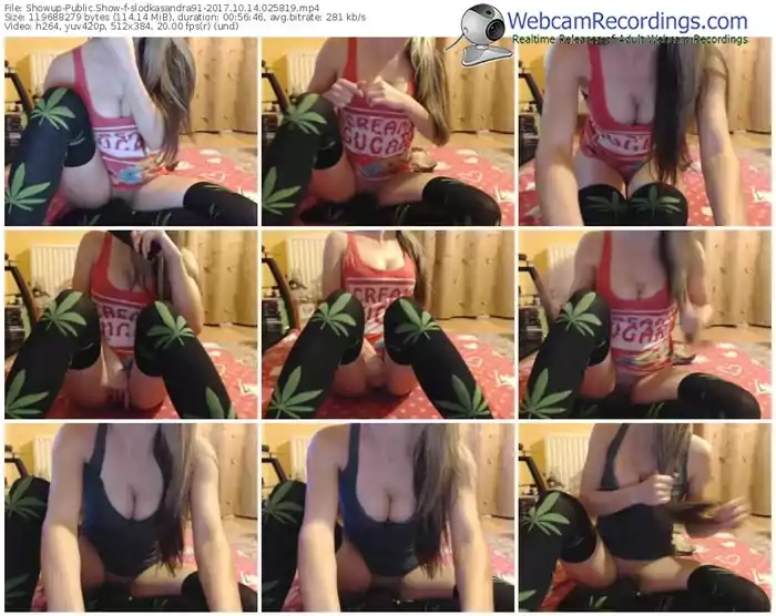 showup-slodkasandra91-webcam-show-10_14_2017-02_58_19