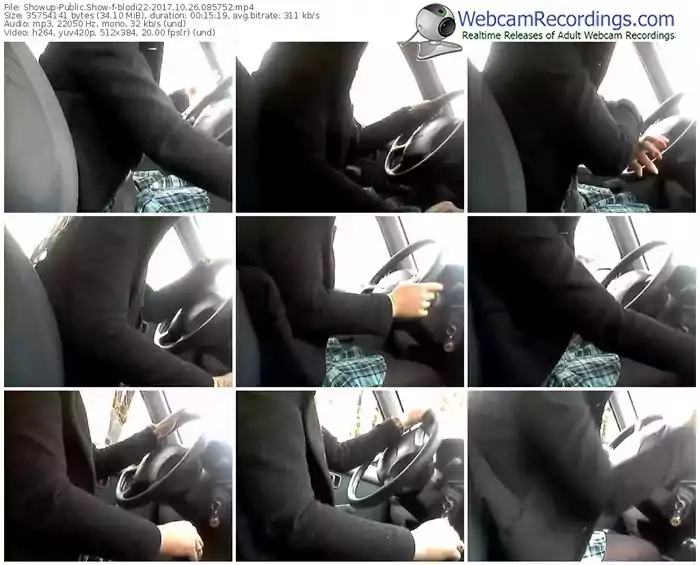 showup-blodi22-webcam-show-10_26_2017-08_57_52
