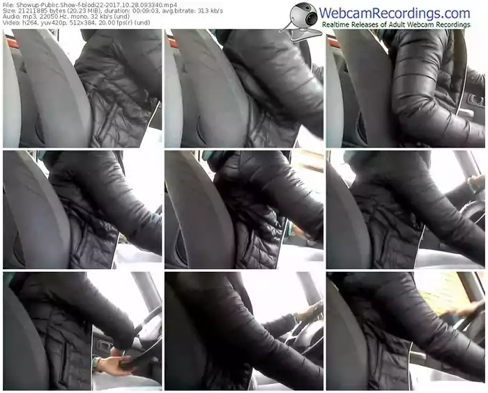 showup-blodi22-webcam-show-10_28_2017-09_33_40