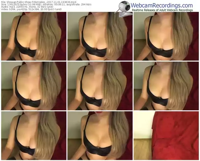 showup-mercedes_-webcam-show-11_01_2017-19_36_36