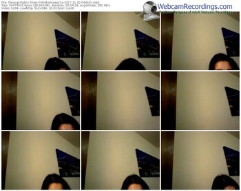 showup-modliszkaaa21a-webcam-show-11_02_2017-04_46_41