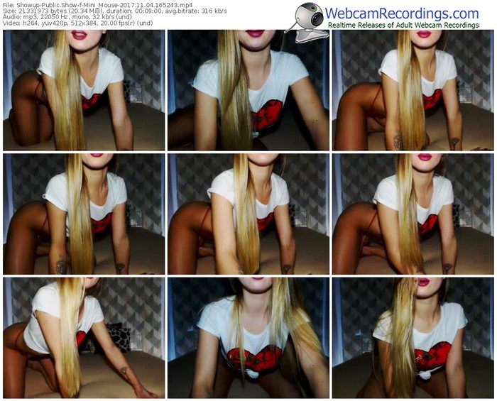 showup-mini_mouse-webcam-show-11_04_2017-16_52_43