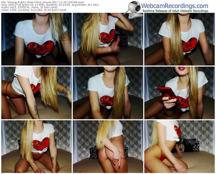 showup-mini_mouse-webcam-show-11_04_2017-19_52_46