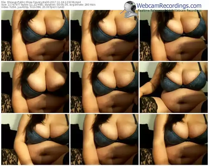 showup-puszysta30-webcam-show-11_04_2017-12_32_38