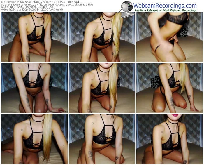 showup-mini_mouse-webcam-show-11_05_2017-21_08_12