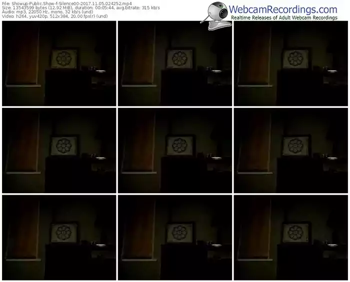 showup-silence00-webcam-show-11_05_2017-02_42_52