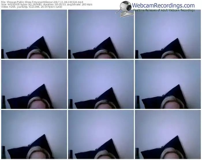 showup-mysza190kocur-webcam-show-11_06_2017-10_03_24