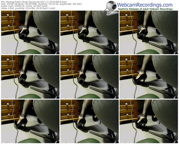 showup-pussycat-webcam-show-11_06_2017-01_48_15