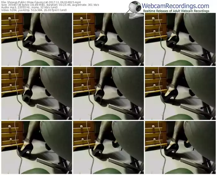 showup-pussycat-webcam-show-11_06_2017-01_48_15