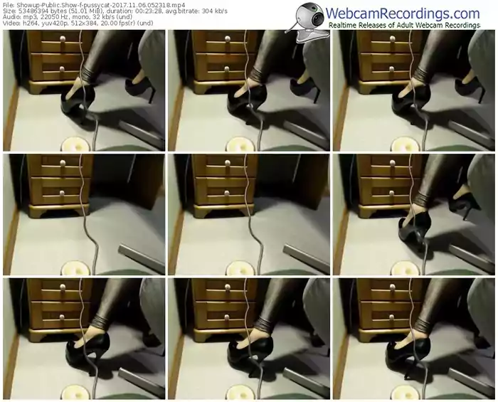 showup-pussycat-webcam-show-11_06_2017-05_23_18