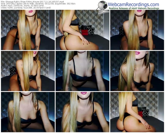 showup-mini_mouse-webcam-show-11_16_2017-16_52_37