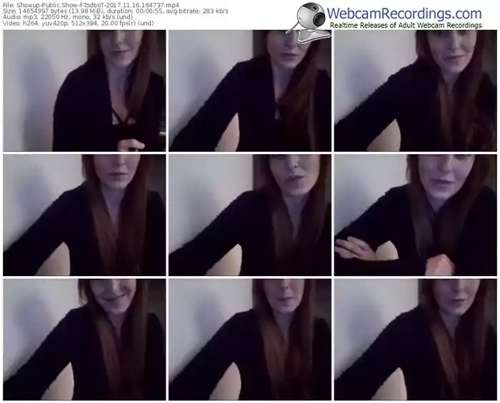 showup-todbot-webcam-show-11_16_2017-16_47_37