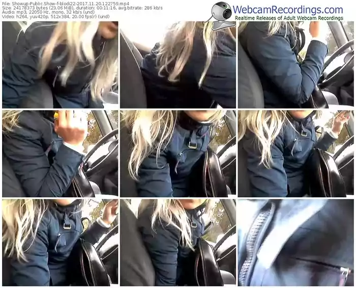 showup-blodi22-webcam-show-11_20_2017-12_27_59