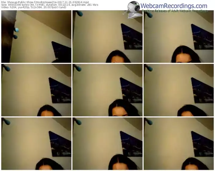 showup-modliszkaaa21a-webcam-show-11_21_2017-03_28_14