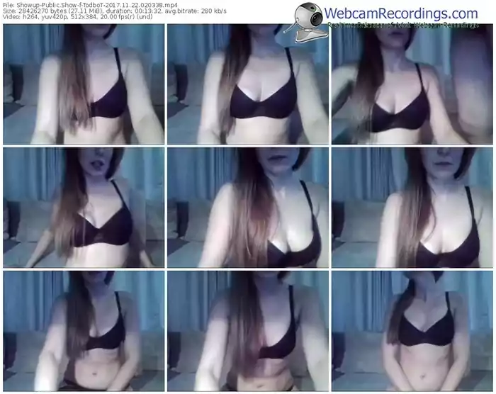 showup-todbot-webcam-show-11_22_2017-02_03_38