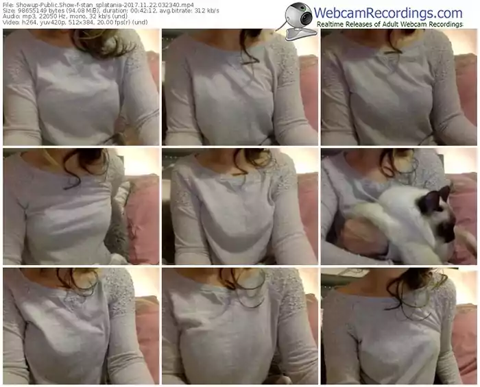 showup-stan_splatania-webcam-show-11_22_2017-03_23_40