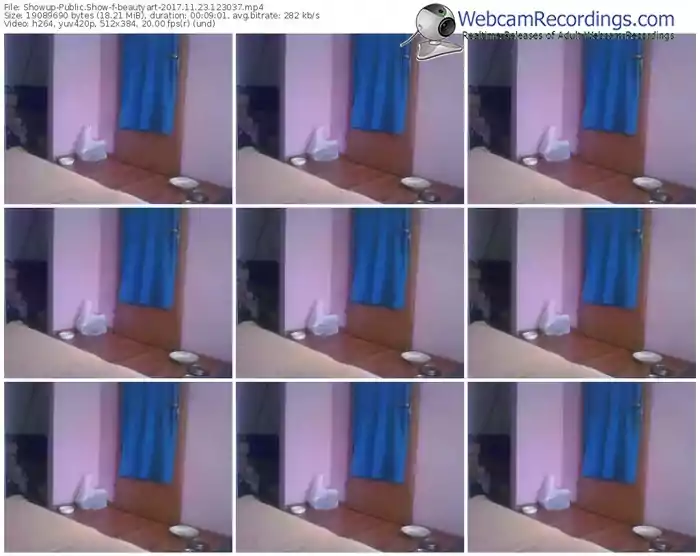 showup-beautyart-webcam-show-11_23_2017-12_30_37