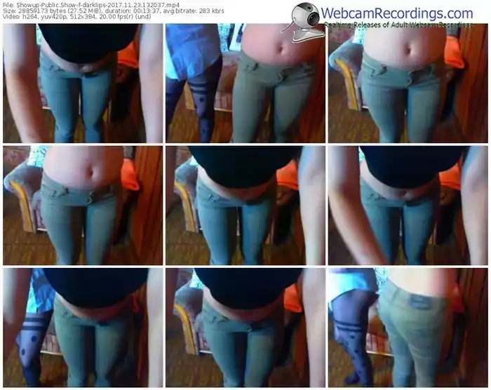 showup-darklips-webcam-show-11_23_2017-13_20_37