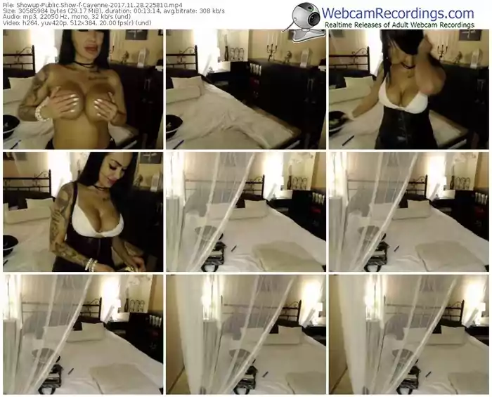 showup-cayenne-webcam-show-11_28_2017-22_58_10