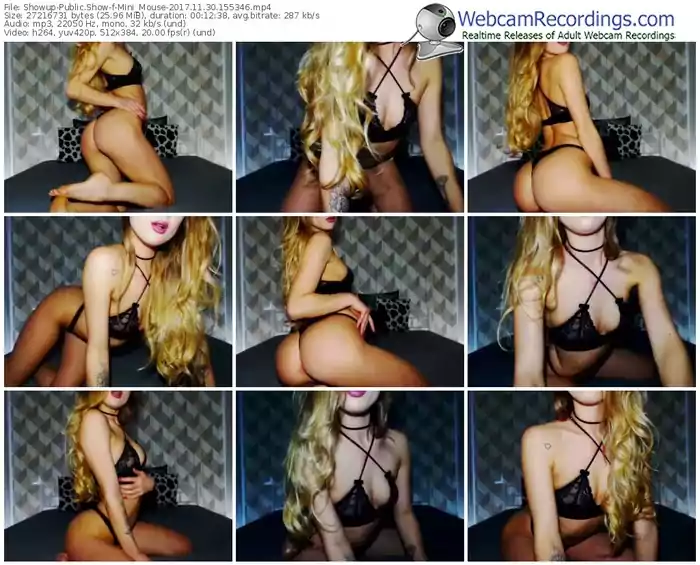 showup-mini_mouse-webcam-show-11_30_2017-15_53_46