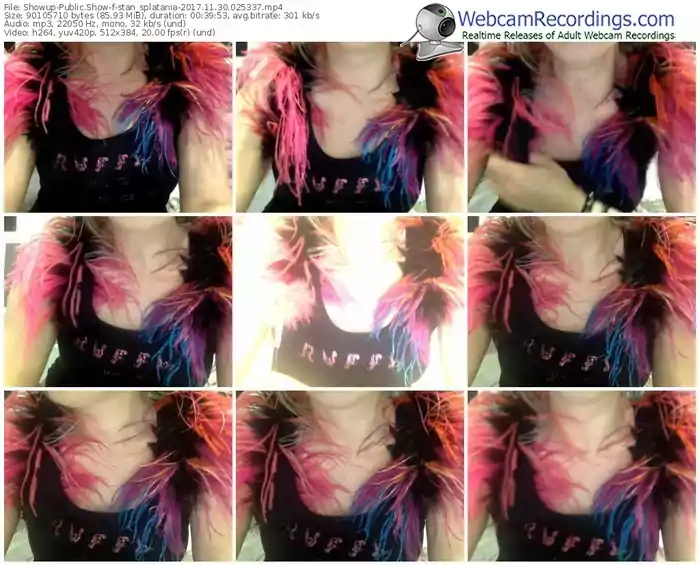 showup-stan_splatania-webcam-show-11_30_2017-02_53_37